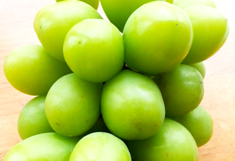 B-629 大粒大房 シャインマスカット 1房（700g程度）【シャインマスカット 大粒 ぶどう 2026 先行予約 ブドウ 葡萄 しゃいんますかっと マスカット 果物 くだもの フルーツ 大房 期間限定 季節限定 早期予約】