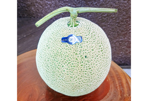 B-927 益田産アールスメロン 夏作 3～5玉