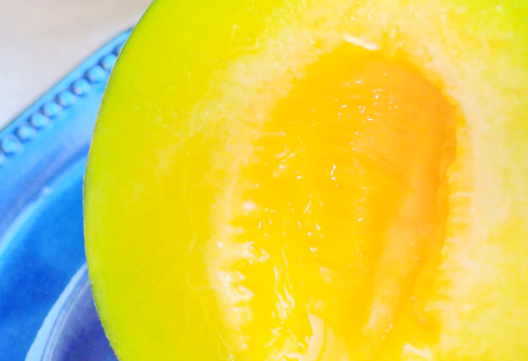 B-930 益田産 メロンの食べ比べ 2玉 2回コース(アムスメロン・アールスメロン)