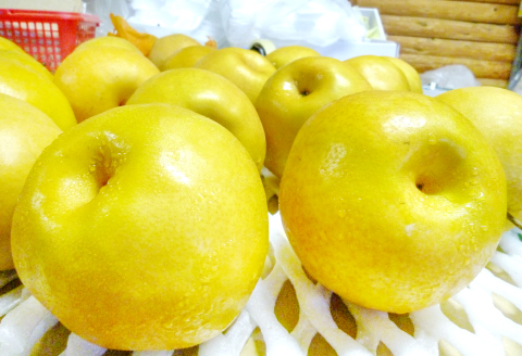 A-935 赤梨 2㎏(幸水梨・豊水梨・新高梨・新興梨)【梨 先行予約 赤梨 2kg 詰め合わせ セット 幸水梨 豊水梨 新高梨 新興梨 なし 果物 くだもの フルーツ 季節限定 期間限定 ギフト 贈り物】