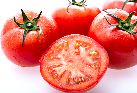 A-990[夏作]朝採れトマト4㎏(20玉前後)【先行予約 夏作 朝採れ トマト 4kg 20玉前後 野菜 桃太郎トマト 早期予約 季節限定 期間限定 旬】