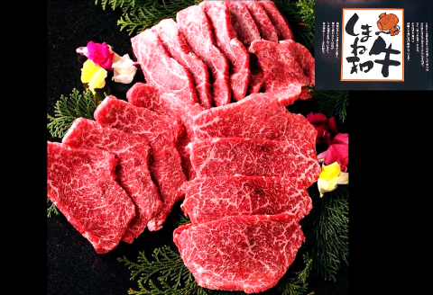 B-1013 しまね和牛 モモ(焼肉用) 500g【牛肉 焼肉 和牛 ブランド牛 牛 肉 もも にく お祝い ご褒美 贅沢 特別 ご馳走 やきにく】
