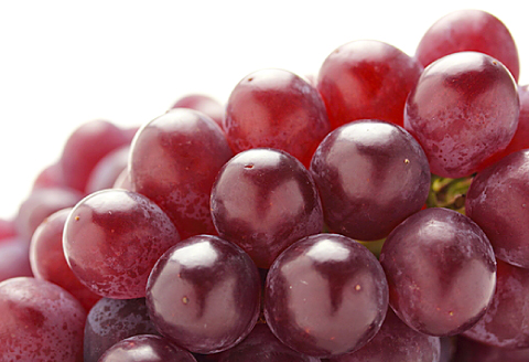 B-1002 【先行予約】朝採れ種なしぶどう デラウェア 2kg【デラウェア 予約 ぶどう デラウエア 先行予約 朝採れ 種なし 早期予約 フルーツ 果物 期間限定 季節限定 葡萄 お土産 プレゼント 贈り物 ご褒美】