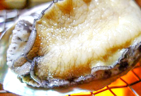 D-1047 日本海の新鮮あわび 800g