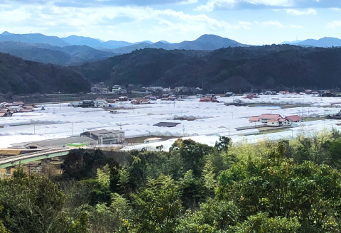 B-860 旬の野菜おまかせセット(引退競走馬の飼育寄付付き)【野菜 7品目～10品目 季節の野菜 旬 新鮮 取れたて おまかせ お楽しみ 飼育寄付 飼育費 野菜 規格外品 引退競走馬 セカンドキャリア ホースセラピー 常用馬 サラブレッド ディープインパクト産駒 マンハッタンカフェ産駒 ハービンジャー産駒 シビルウォー産駒 詰め合わせ セット 冷蔵】