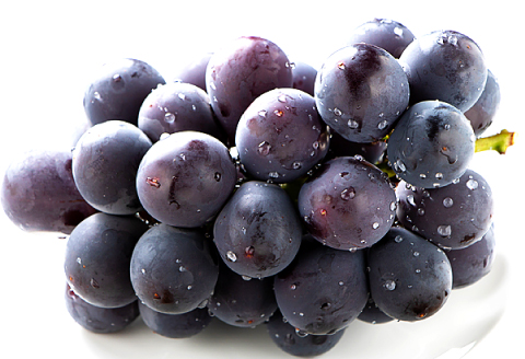 A-770 朝採れ種なしぶどう ピオーネ 1kg【先行予約 ぶどう ピオーネ 種なし 早期予約 葡萄 ブドウ ぴおーね 1.0kg 1キロ 種無し たねなし 朝採れ 冷蔵 期間限定 季節限定 8月～10月上旬発送】