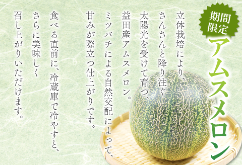 A-169 益田産アムスメロン　特大5Lサイズ（3玉入り）