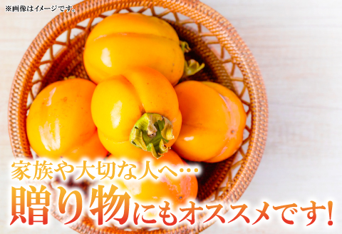 A-163 甘さたっぷり　益田特産　西条柿