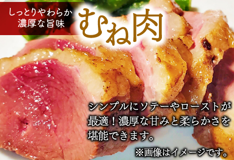 A-868 	田んぼで育ったアイガモ肉丸ごと1～2羽分(700ｇ以上)【合鴨肉 1～2羽分 700g以上 冷凍 むね肉 もも肉 ささみ ブロック肉 鴨肉 鴨 カモ 鴨焼き 鍋 鴨そば 鴨南蛮 数量限定】