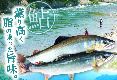 C-800 高津川天然鮎・もみじガニ（CAS冷凍）セット【先行予約 天然鮎 600g 9尾または6尾 もみじガニ 6匹 オス・メス1対×3袋 魚貝類 魚介類 魚 川魚 アユ 天然 高津川 塩焼き みそ焼き 天ぷら 鮎飯 甲殻類 カニ 川ガニ モクズガニ ツガニ ズガニ 湯煎 簡単 電子レンジ 季節限定 8月中旬～翌年2月末発送 冷凍】