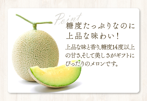 A-16 アールスメロン　秀品　大玉1玉【秋作】