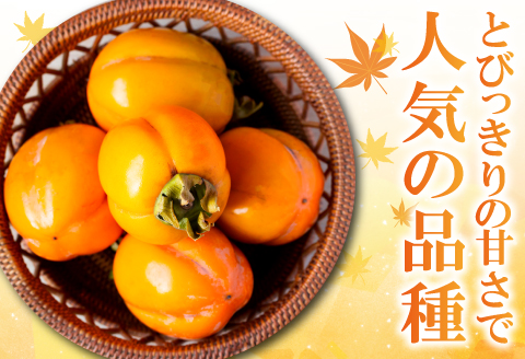 A-321 ぶち甘い西条柿 5kg