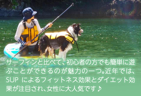 B-809 清流 高津川SUP体験（1人 2時間コース)