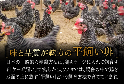 A-791 大久保さんちの元気たまご 平飼い 40個【卵 平飼い とれたて卵 破損保証8個 抗生物質不使用 安心 安全 新鮮 冷蔵 常温】