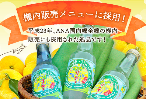 A-896 ゆずサイダー　16本入り【250ml×16本 飲料類 炭酸飲料 ジュース サイダー ご当地サイダー ゆず果汁 果物 フルーツ 柚子 ANA国内線全線ドリンクサービス採用】