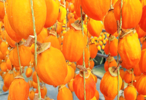 A-1146 つるし柿(干し柿)お試しサイズ 10個入り