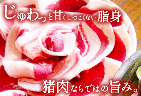 A-713 天然いのしし肉（ぼたん鍋用薄切りスライス）【期間限定 季節限定 250g×2袋 12月～3月発送 冷凍 ロース 肩ロース モモ肉 もも肉 バラ肉 ばら肉 イノシシ肉 ぼたん鍋用 薄切りスライス 肉 猪肉 低カロリー 高タンパク 栄養豊富食材 ジビエ 鍋 牡丹鍋】