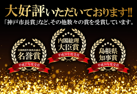 A-405 松永和牛 切り落とし 300g【牛肉 切り落とし 和牛 黒毛和牛 切落し 300g 肉 松永和牛 まつなが牛 冷凍】