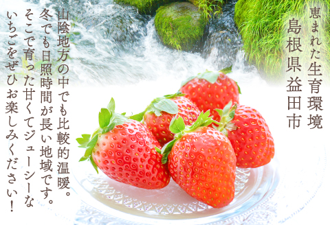 A-1064 朝採れ　いちご 1.4kg（350g×4パック）【先行予約 いちご 果物 フルーツ 苺 イチゴ 1.4kg 350g 4パック 朝採れ 新鮮 ジューシー 冷蔵 期間限定 季節限定 早期予約】