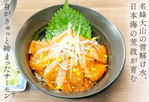 A-1184  山陰ぶち旨グルメ　境港サーモン漬け丼の素・山陰アジ漬け丼の素（4食入り）