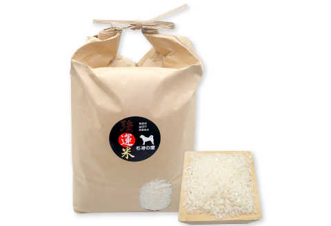 A-1217 強運米「コシヒカリ」5kg【米 お米 白米 精米 コシヒカリ 5kg 5キロ 1袋 おこめ こめ ごはん 令和7年度産 2025年産】