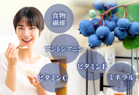 A-1221 冷凍ブルーベリー【ブルーベリー ぶるーべりー 1kg 冷凍 冷凍ブルーベリー 果物 くだもの フルーツ 産地直送 期間限定 季節限定 早期予約】