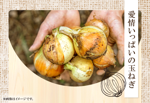 A-325 益田市特産『手磨き玉ねぎ』【先行予約 期間限定 季節限定 早期予約 野菜 やさい たまねぎ タマネギ 玉葱 10kg 数量限定】