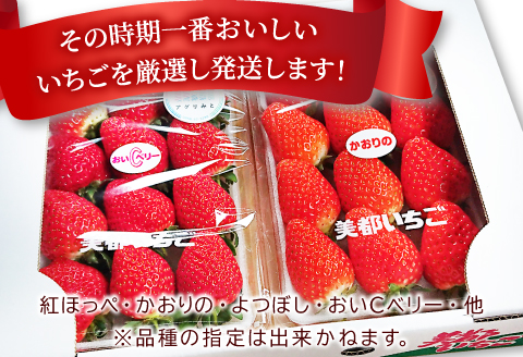 A-329 【農家直送！】完熟いちご（350g×2パック）・いちごジャムセット（150g）