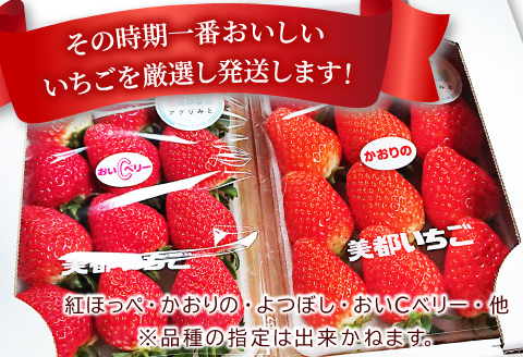 A-696 【初物！農家直送】美都いちご（350g×2パック）