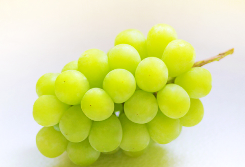 B-1179 冬季シャインマスカット 1kg