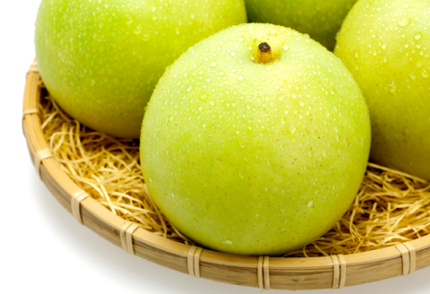 C-1280【先行予約】青梨10kg【梨 青梨 瑞秋 10kg 先行予約 なし ナシ pear 期間限定 季節限定 果物 くだもの フルーツ お取り寄せ 特産品 島根県 益田市】