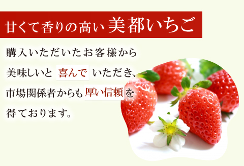A-27 【先行予約】美都いちご（ギフトBOX）【いちご 2月発送 完熟 果物 くだもの フルーツ 苺 イチゴ ストロベリー 美都いちご 平2パック 大粒 ギフト ギフトボックス入り 冷蔵 先行予約 期間限定 季節限定 早期予約】