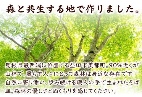 B-81 里御器の丸そば皿（2枚1組）【丸そば皿 2枚1組 直径約21cm 高さ約3cm 天然木 けやき 桜 くすの木 ひのき 木工 工芸品 和食器 お皿 匠 蕎麦 セット】
