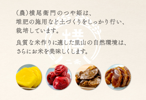 C-1111 【定期便】横尾衛門のつや姫 玄米 5kg×6回コース【新米 定期便 定期 6回 米 お米 玄米 特別栽培米 低農薬 低化学肥料 ブランド米 つや姫 5kg×6回 合計30kg】