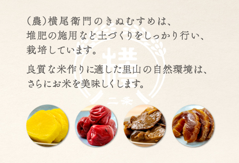 B-1094 横尾衛門のきぬむすめ 玄米 20kg【新米 先行予約 米 お米 玄米 ブランド米 きぬむすめ 20kg 1袋】