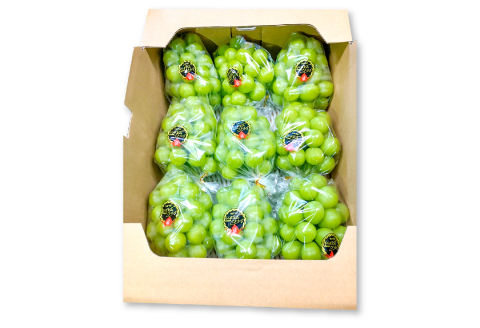 D-524 【先行予約】甘くて美味しい シャインマスカット 5kg（6～12房）【ぶどう 先行予約 ぶどうシャインマスカット シャインマスカット しゃいんますかっと 葡萄 ブドウ マスカット 5.0kg 6房～12房 種なし たねなし 皮ごと 大粒 紙袋付き おすそわけ 期間限定 季節限定 8月中旬～9月下旬発送】