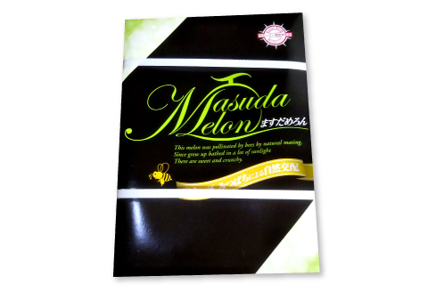 C-528 【先行予約】特選アムスメロン 5kg（4～5玉）糖度16度以上【特選 アムスメロン 5kg 4～5玉 糖度 16度以上 高糖度 季節限定 期間限定 果物 フルーツ お土産 プレゼント 贈り物 贈答 ギフト ご褒美 贅沢 メロン】