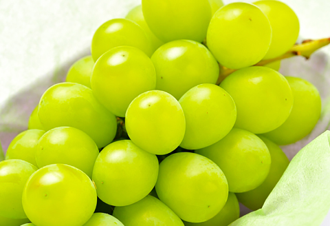 C-698 【先行予約】待ちきれない シャインマスカット （大粒）1房【ぶどう シャインマスカット しゃいんますかっと マスカット 1房 種無し たねなし 皮ごと 大粒 期間限定 季節限定】