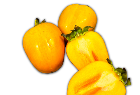 B-643 糖度14度以上のアールスメロン秀品1玉と大玉西条柿12玉のセット