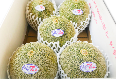 C-410 初物 糖度14度以上 アムスメロン 高級赤秀品 1ケース（3～5玉）【メロン 先行予約 果物 くだもの フルーツ アムスメロン めろん 糖度14度以上 高級 赤秀品 期間限定 季節限定 早期予約】