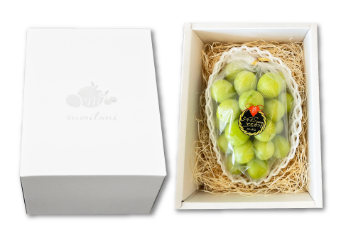 B-629 大粒大房 シャインマスカット 1房（700g程度）【シャインマスカット 大粒 ぶどう 2026 先行予約 ブドウ 葡萄 しゃいんますかっと マスカット 果物 くだもの フルーツ 大房 期間限定 季節限定 早期予約】