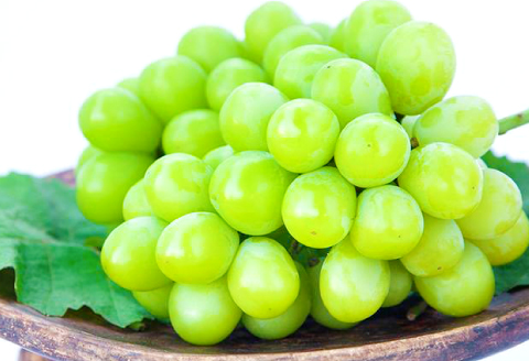 C-856 「神紅」＋「シャインマスカット」の詰め合わせ2房入り1.2kg以上【シャインマスカット 神紅 2種 詰合せ セット ぶどう マスカット 葡萄 ブドウ 先行予約 数量限定 季節限定 フルーツ 果物 ギフト 贈り物】