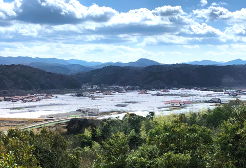 C-864 今が旬！新鮮野菜定期便(6回コース)【定期便 野菜 6回コース 詰め合わせ お楽しみ 定期 7品目～10品目 セット 旬 新鮮 冷蔵 食品 季節の野菜 おまかせ やさい】