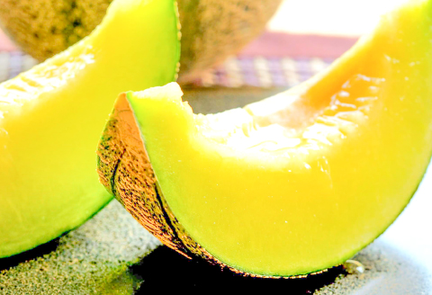 C-931 益田産 メロンの食べ比べ 3～5玉 2回コース(アムスメロン・アールスメロン)