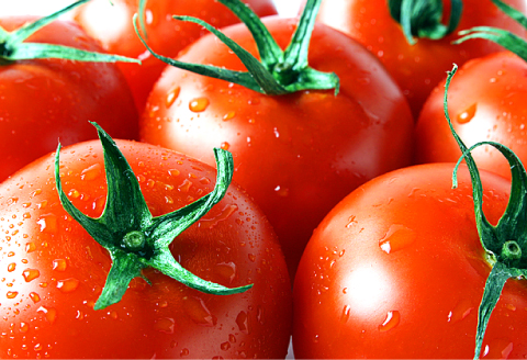 A-990[夏作]朝採れトマト4㎏(20玉前後)【先行予約 夏作 朝採れ トマト 4kg 20玉前後 野菜 桃太郎トマト 早期予約 季節限定 期間限定 旬】