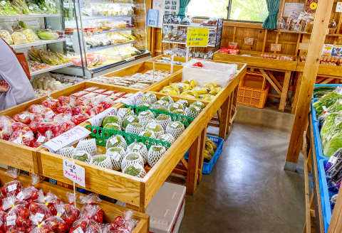 A-904 美都の旬野菜・果物・素朴な加工品いなかもんパック【旬野菜 果物 加工品 詰め合わせ セット ゆず いちご 乾燥しいたけ 切干し大根 きな粉 焼き米 お茶 季節限定 期間限定 常温 ギフト 贈答 プレゼント】