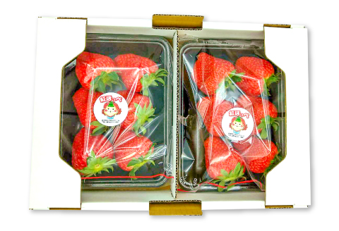 A-946 完熟いちご　2パック入り