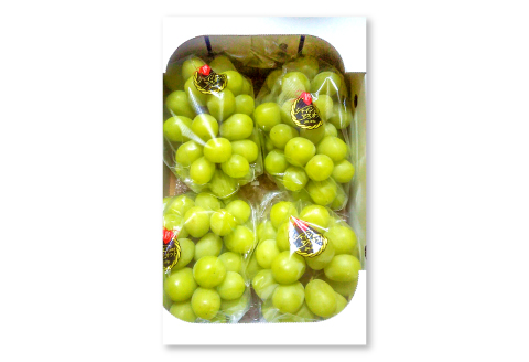 D-948 【先行予約】益田のおいしい果物 定期便(3回コース)【先行予約 シャインマスカット 2kg 赤梨 5kg アールスメロン 3～5玉 定期便 3回 お楽しみ マスカット 大粒 種なし 皮ごと梨 豊水梨 新興梨 新高梨 メロン 高級 高糖度 ギフト 贈答 贈り物 お歳暮 果物 くだもの フルーツ】