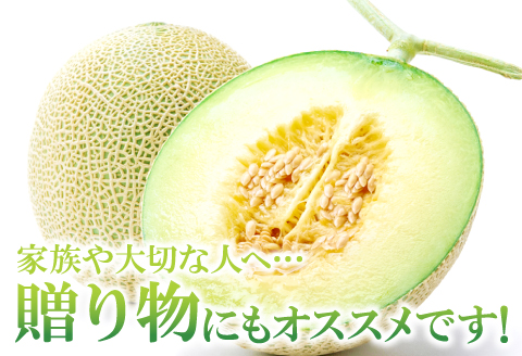 A-167 益田産アールスメロン（2玉入り）【秋作】