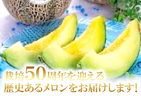 A-169 益田産アムスメロン　特大5Lサイズ（3玉入り）